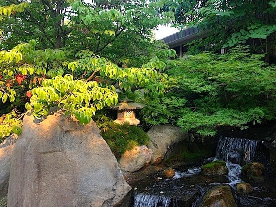 Serene Japanese gardens