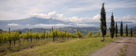 Family Biodynamics Wine Video