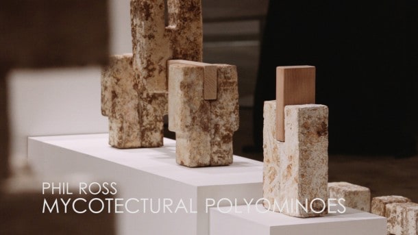 Phil Ross - Mycotectural Polyominoes