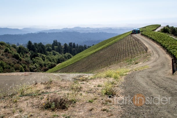 Vineyards at Clos de la Tech winery, Santa Cruz Mountains, California.