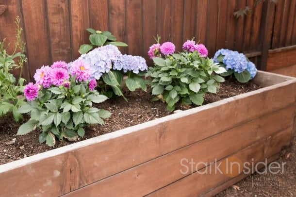 https://cloud.starkinsider.com/wp-content/uploads/2014/04/Garden-Box-Plans-Loni-California-2123-610x406.jpg