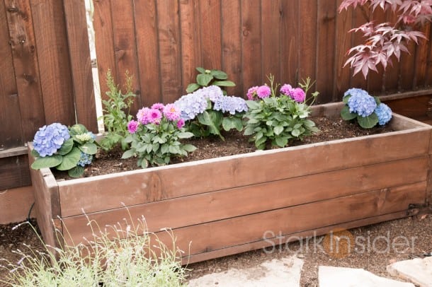 How to Garden in Planter Boxes: A Swansons Nursery and Dunn DIY