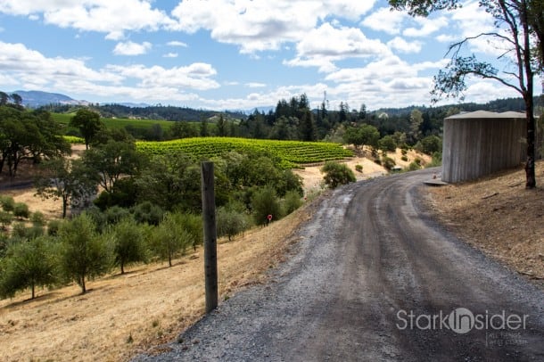 Dry Creek Valley in Sonoma is just one of several quick getaways just minutes from San Francisco.