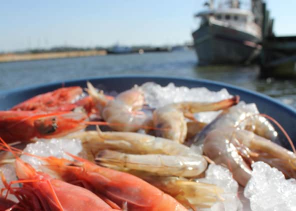 Mississippi Gulf Coast tops for culinary getaway | Stark Insider