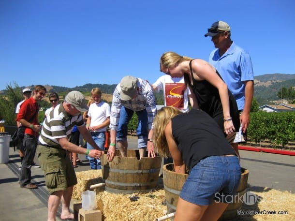 Stryker Winery - Sonoma