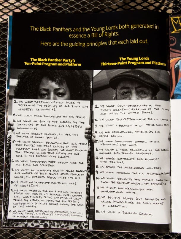 Bill of Rights: The Black Panthers and the Young Lords.