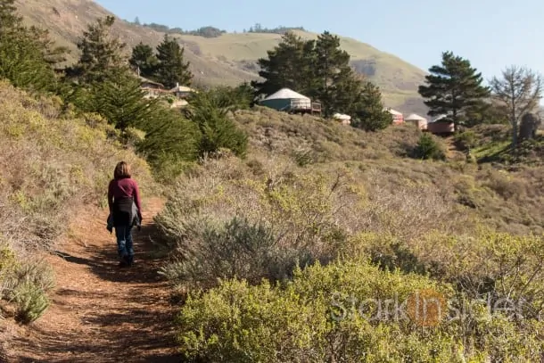 Hiking at Treebones