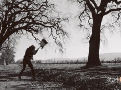 Napa Valley wine auction breaks record, raises $6 million (Video)