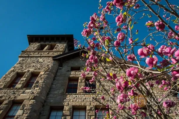 Culinary Institute of America at Greystone