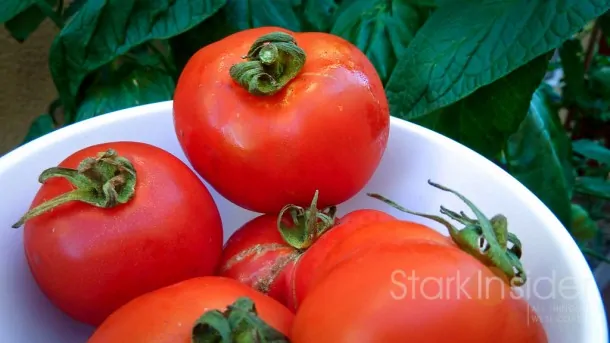 Tomatoes - Urban vegetable gardening by Loni Stark