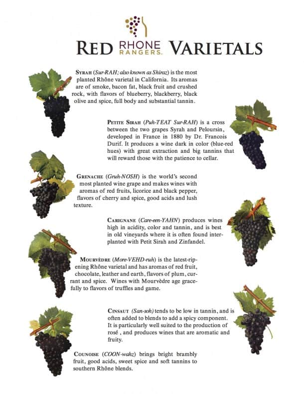 Red Rhone Grape Varieties