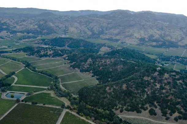 Birds eye view of the Stags Leap District AVA in Napa Valley.