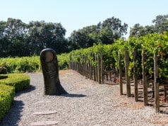 California wine sales up 6.7% to $24.6 billion California wine sales continue to grow, up 6.7% y/y in 2014