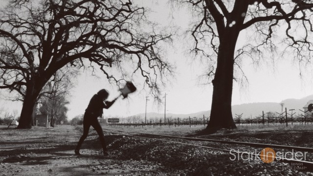 Stark Insider on location shooting in Napa Valley