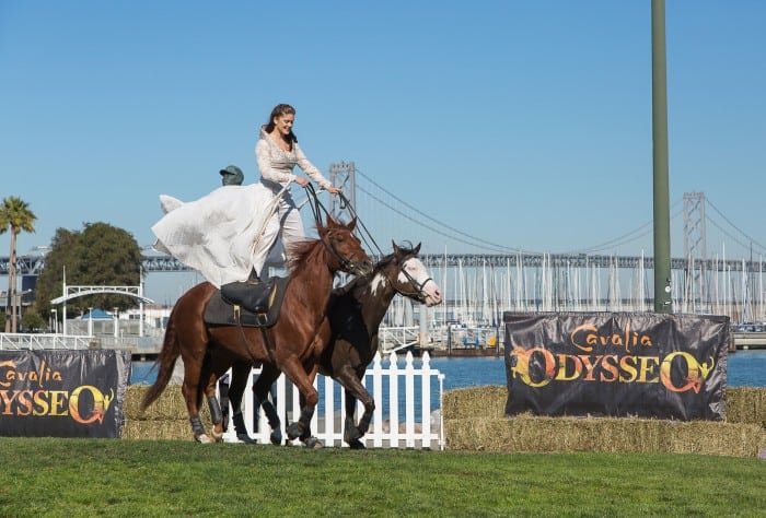 Horse Arrival - Odysseo by Cavalia (AT&T Park, San Franciso)