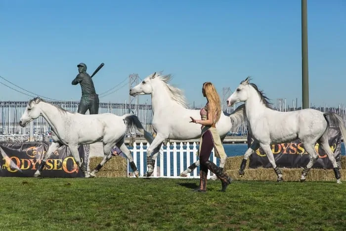 Horse Arrival - Odysseo by Cavalia (AT&T Park, San Franciso)