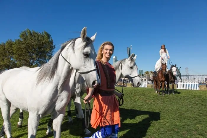 Horse Arrival - Odysseo by Cavalia (AT&T Park, San Franciso)