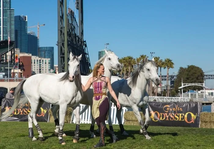 Horse Arrival - Odysseo by Cavalia (AT&T Park, San Franciso)