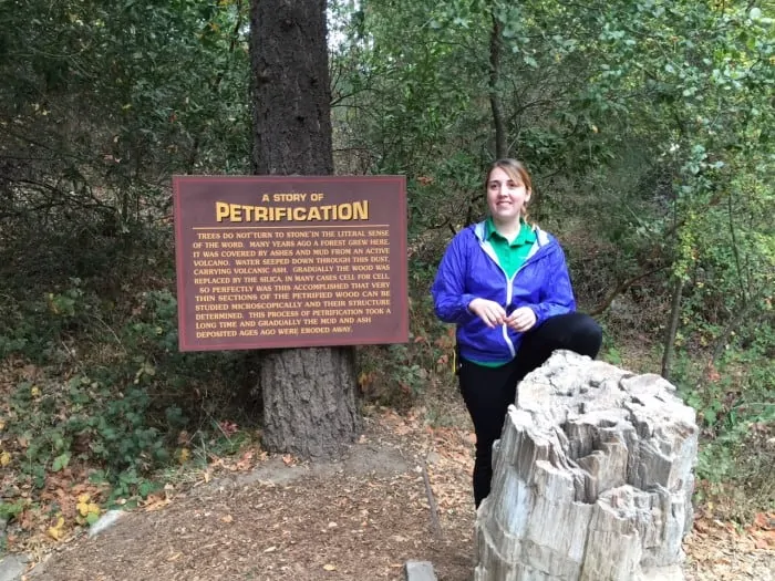 Petrified Forest