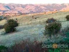 Silicon Valley Drought