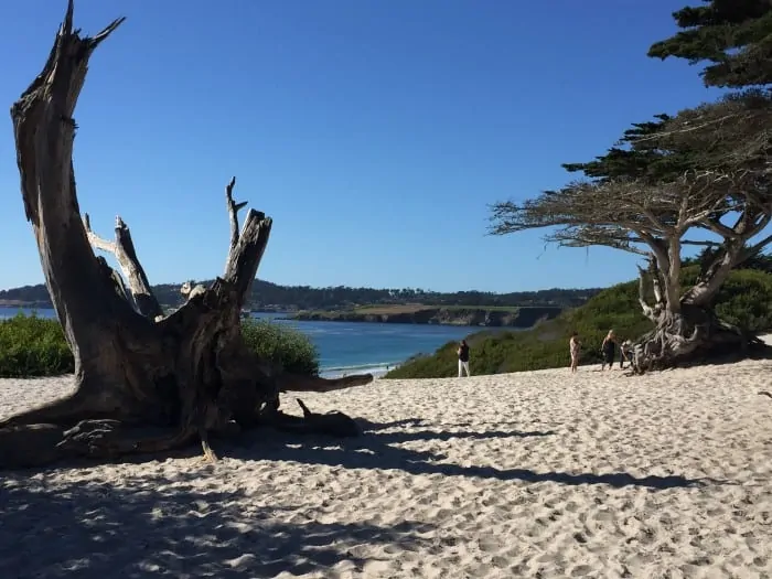 Carmel, California - Beach photo