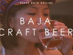 Stark Baja Dailies: The Red Dress & Craft Beer (Video)