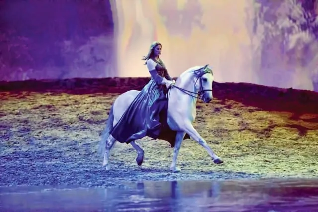 Cavalia Odysseo - Review