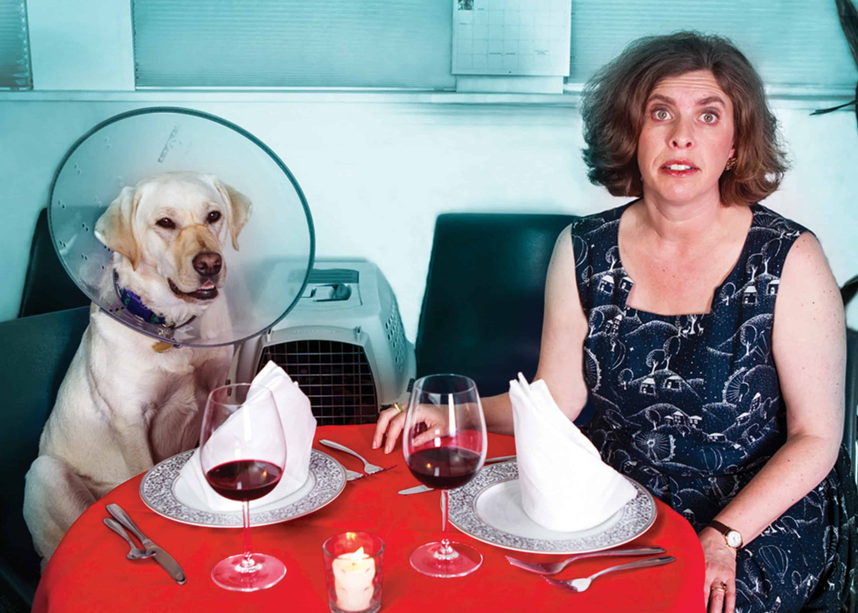 Not Just a Morality Tale Date Night at Pet Emergency Stark Insider