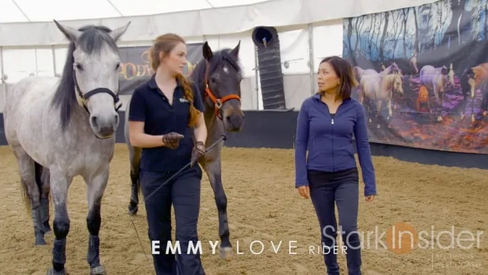 Cavalia Odysseo - Horse Training Video