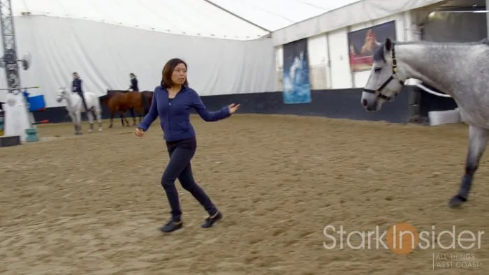 Cavalia Odysseo - Horse Training Video