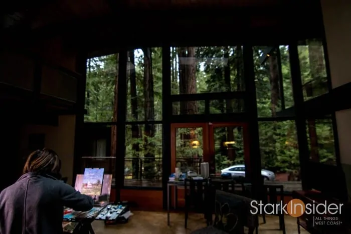 Magical Redwood Retreat - Sebastopol, Sonoma