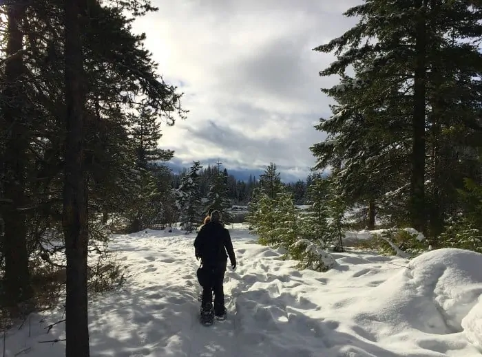 Snowshoeing through Glacier National Park