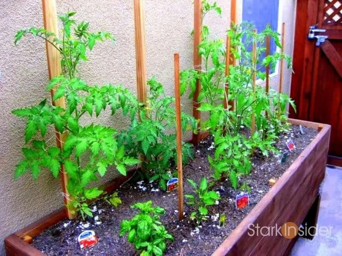 Urban Gardening