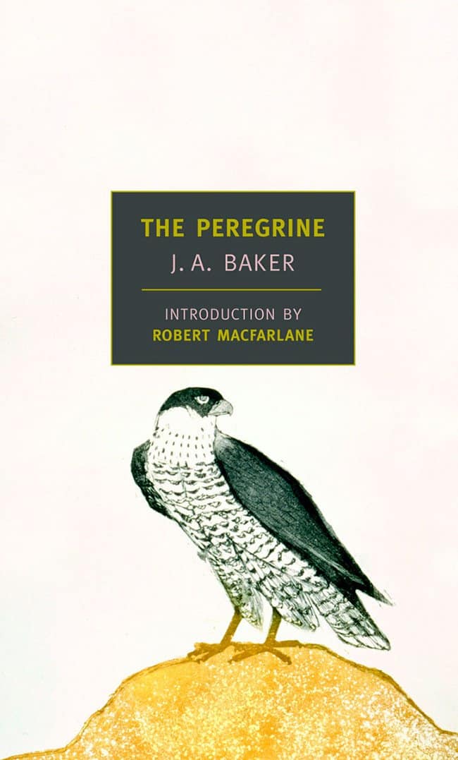 The Peregrine Novel - Werner Herzog filmmaking literature