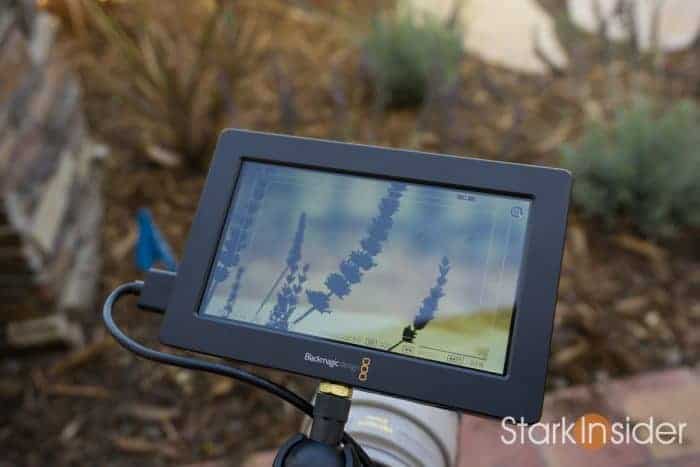Blackmagic Video Assist
