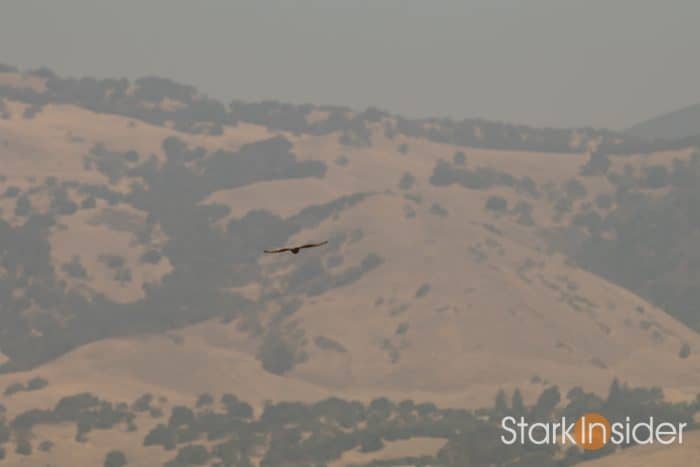 Tested: Canon EF 70-200mm f/2.8L IS II USM Telephoto Zoom Lens