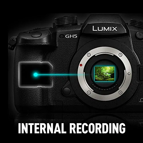 Panasonic Lumix GH5 internal 10-bit 4:2:2 recording
