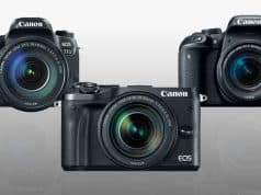 Canon EOS 77D vs. Rebel T7i vs. M6 Mirrorless comparison