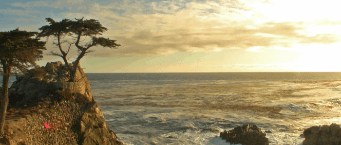 Pebble Beach Food and Wine Video Interview