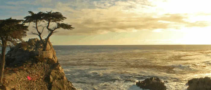 Pebble Beach Food and Wine Video Interview
