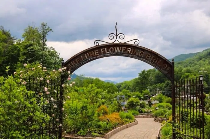 dirty dancing boat tour lake lure