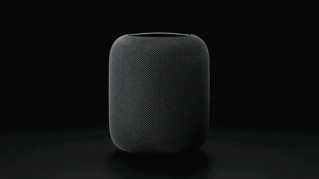 Apple HomePod delayed to 2018 - A huge miss, cedes market share to Amazon and Google.