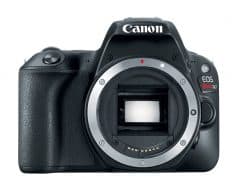 Best Camera Gear: Canon 5D IV, EOS 80D, Rebel T5i, SL2 Canon EOS Rebel SL2 Digital SLR Camera Body