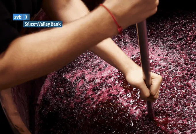 SVB Silicon Valley Bank: 2018 State of the Wine Industry by Rob McMillan