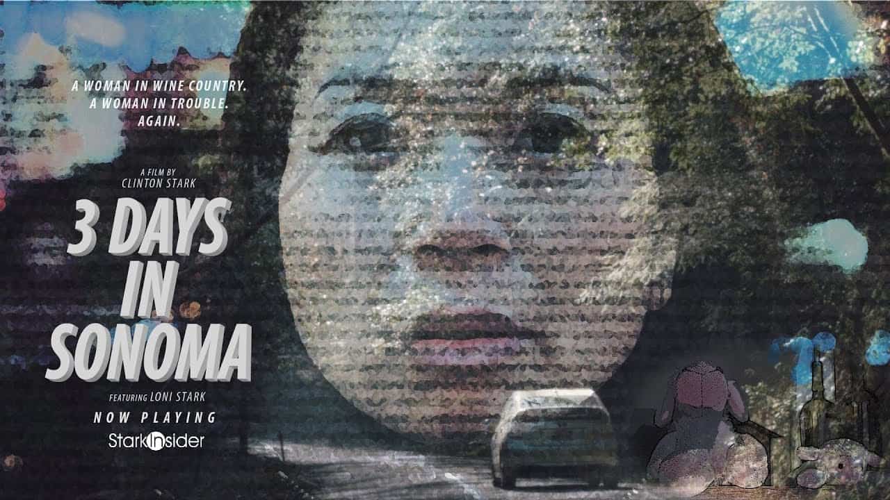 Video A Sonoma wine country getaway with a twist (or two) Stark Insider