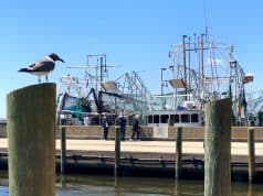 Can’t Miss Having Fun on this Mississippi Road Trip! Day 1: Oxford Mississippi Gulf Coast