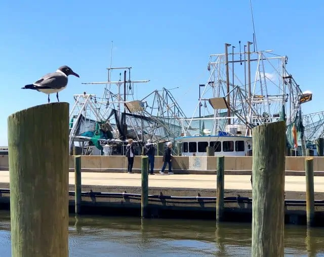 Mississippi Gulf Coast