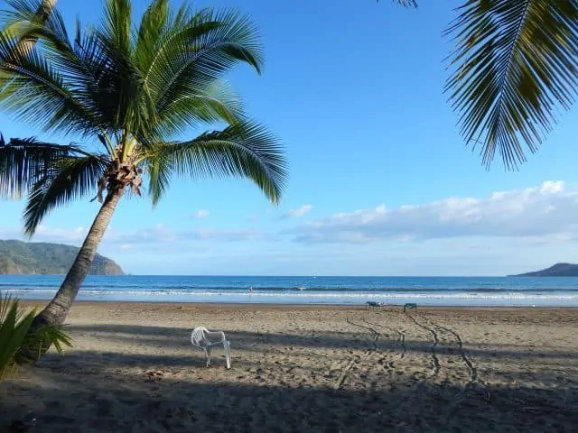 Beach in Costa Rica