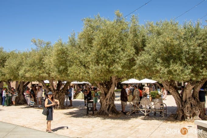 In Wine Country - Taste of Sonoma wine and food event In Wine Country - Taste of Sonoma wine and food event