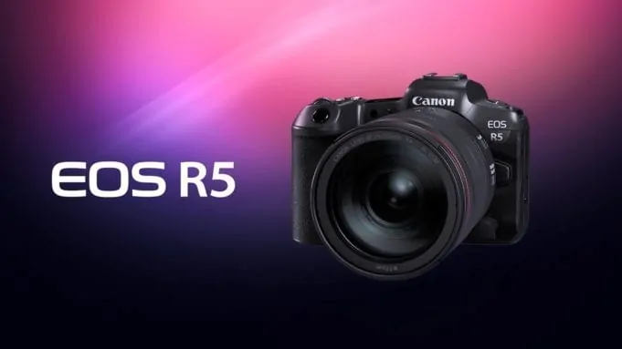 Canon EOS R5 or R6 vs Panasonic GH5 for shooting video